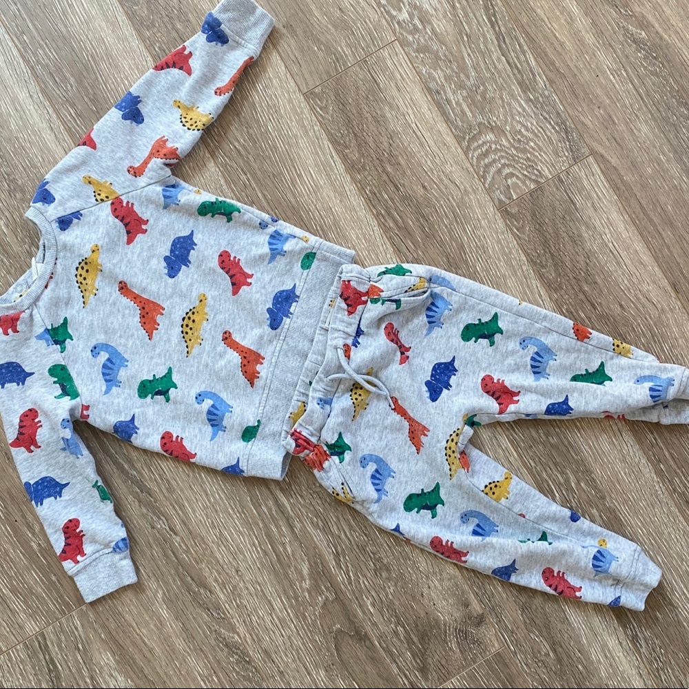 H&M Dinosaur Sweatshirt Set (Toddler)